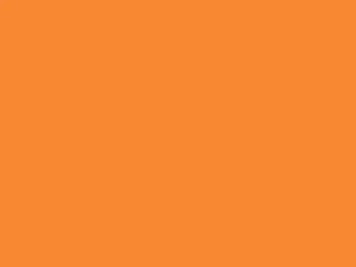 850 Orange Ade